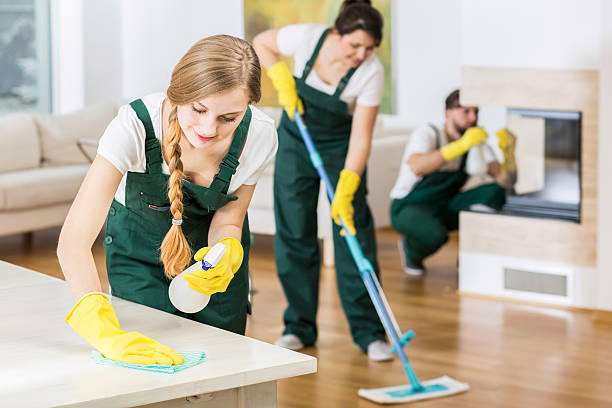 Commercial Office Cleaning: Setting the Standard for Cleanliness