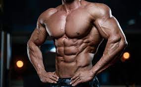 D-Bal MAX Canada: Your Ticket to Explosive Muscle Growth