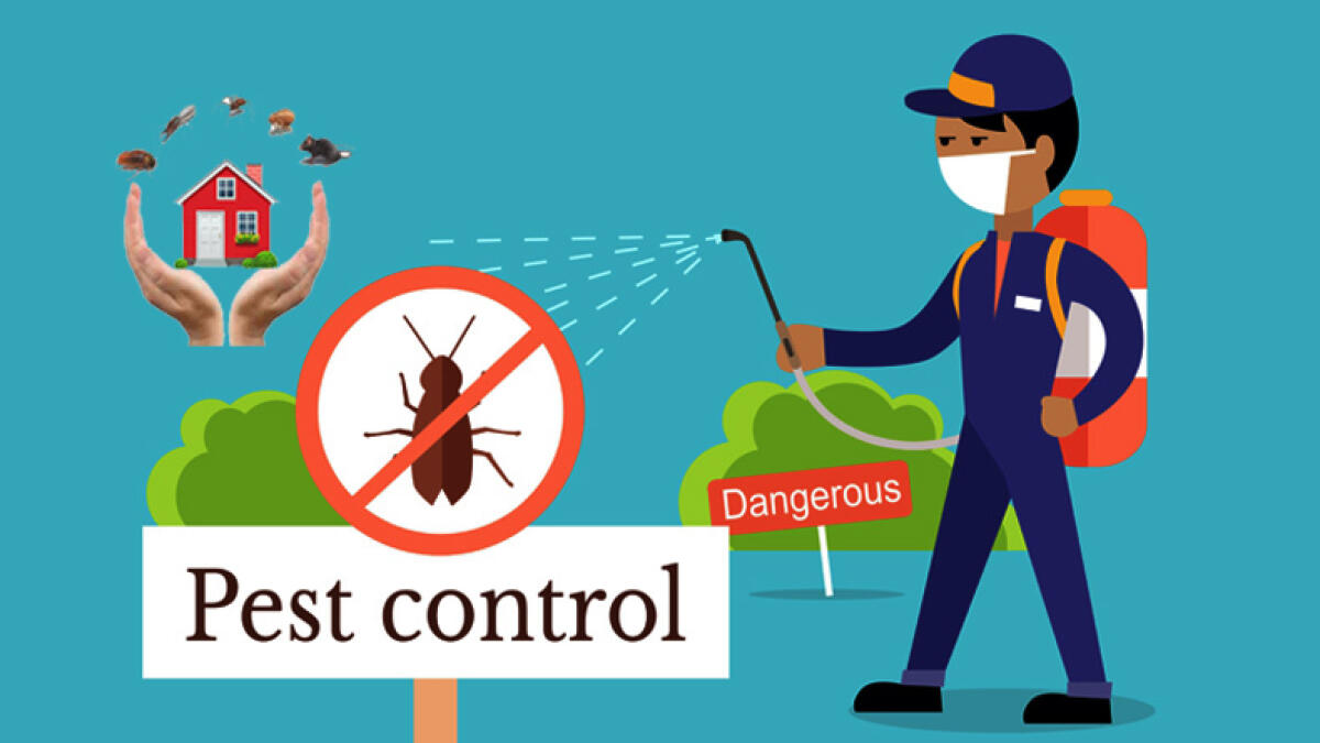 Eco-Friendly Pest Control: Protecting Your Home and the Environment