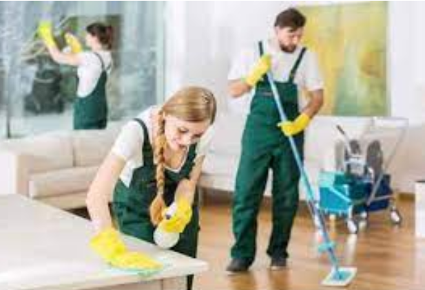 Efficient Carpet Cleaning: Services Near You for Pristine Floors