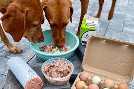 Exploring the Benefits of Raw Dog Food: A Comprehensive Guide