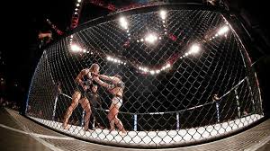 Stay Updated with Live MMA Streams and Highlights