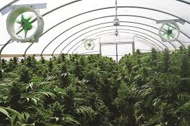 How to Troubleshoot HVAC Problems in Your Grow Room