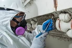 Exploring the Differences Between Management and Refurbishment Asbestos Surveys