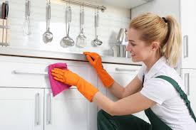 Highlands Ranch Cleaning Service Reviews: What Customers Are Saying